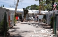 Thurs-Paddock-1.jpg