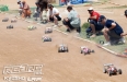 F-RaceStart.jpg